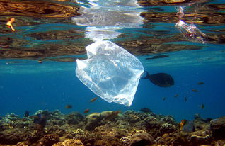 海洋塑料污染的治理困境包括
