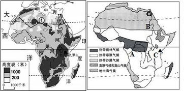 非洲被称为什么大陆和什么大陆