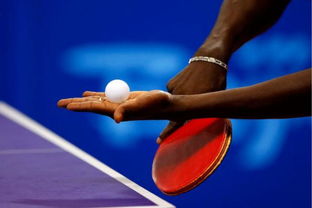 国际乒乓比赛规则及裁判标准
